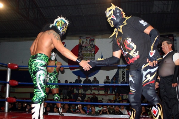 Lucha extrema y sensualidad.