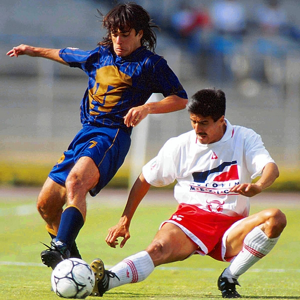 Toros Neza10