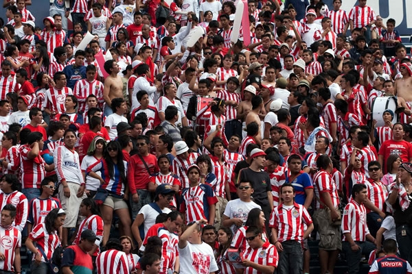 Los seguidores del Rebaño hicieron el viaje