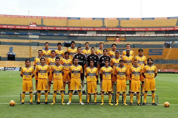 Tigres7