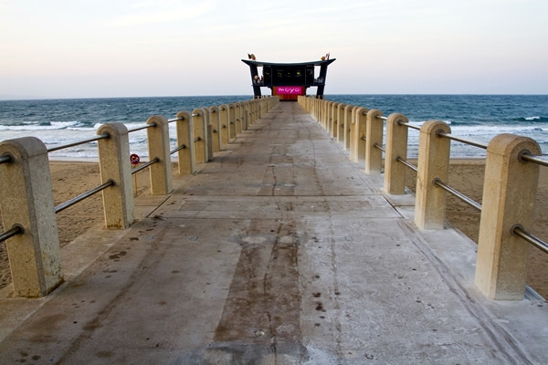 Acuario de Durban 11