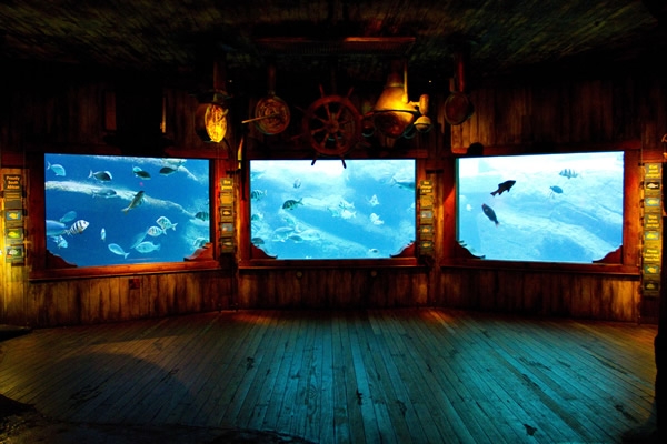 Acuario de Durban 12