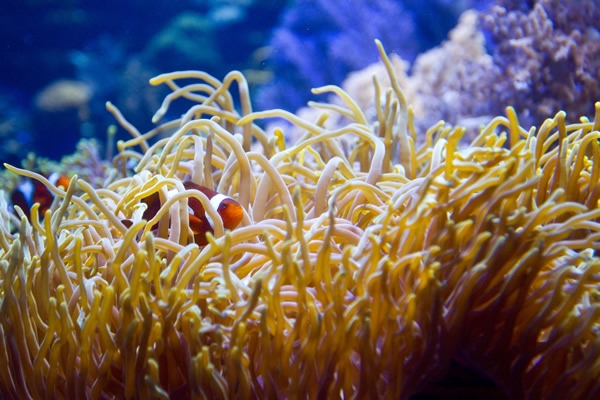 Acuario de Durban 16