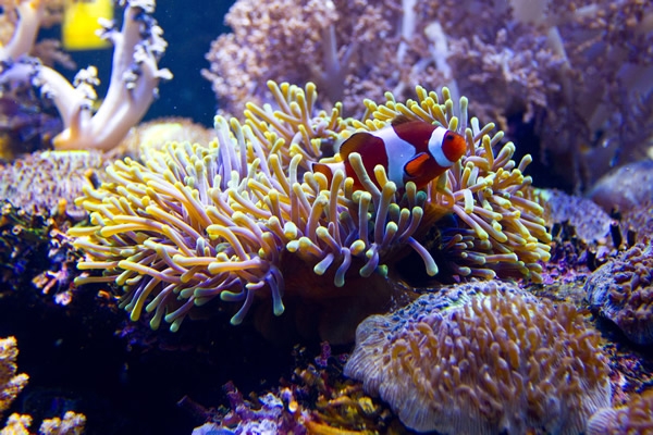 Acuario de Durban 18