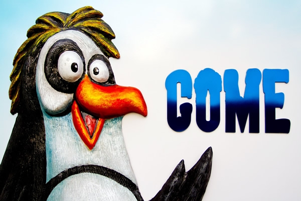 Acuario de Durban 10