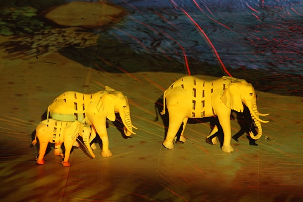 Clausura Mundial Sudáfrica