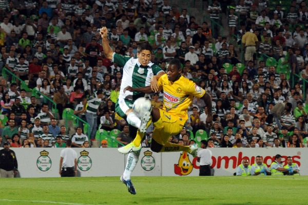 El ave quiso reaccionar, pero fue inútil.