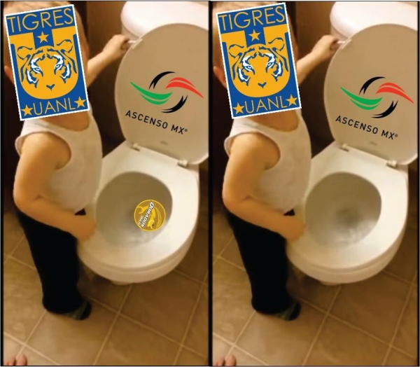 El gatito se comió el pez en memes