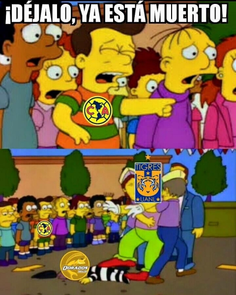 El gatito se comió el pez en memes