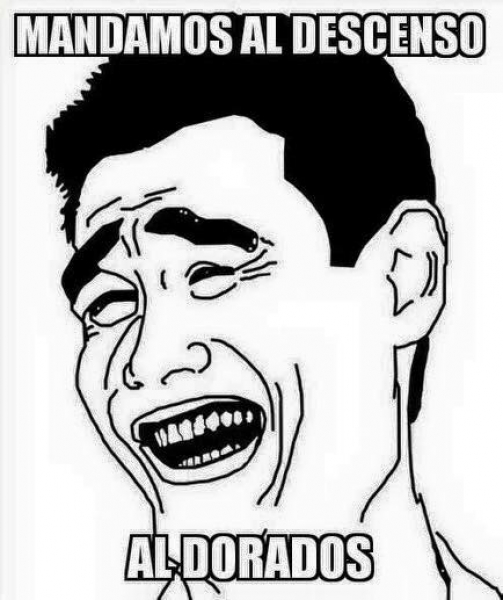 El gatito se comió el pez en memes