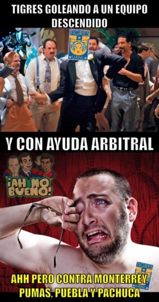 El gatito se comió el pez en memes