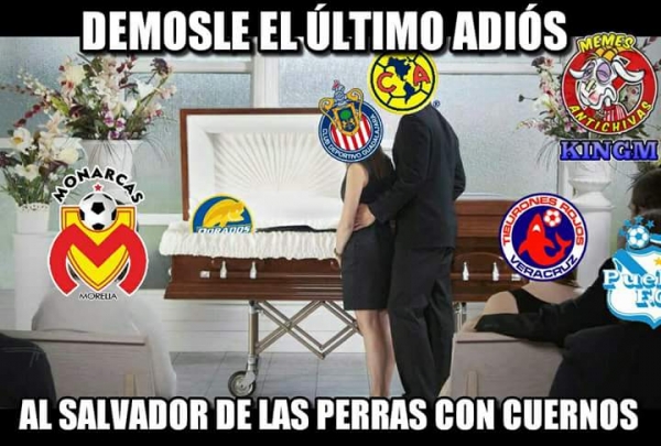 El gatito se comió el pez en memes