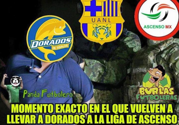 El gatito se comió el pez en memes