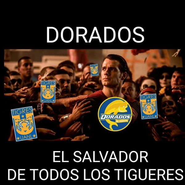 El gatito se comió el pez en memes