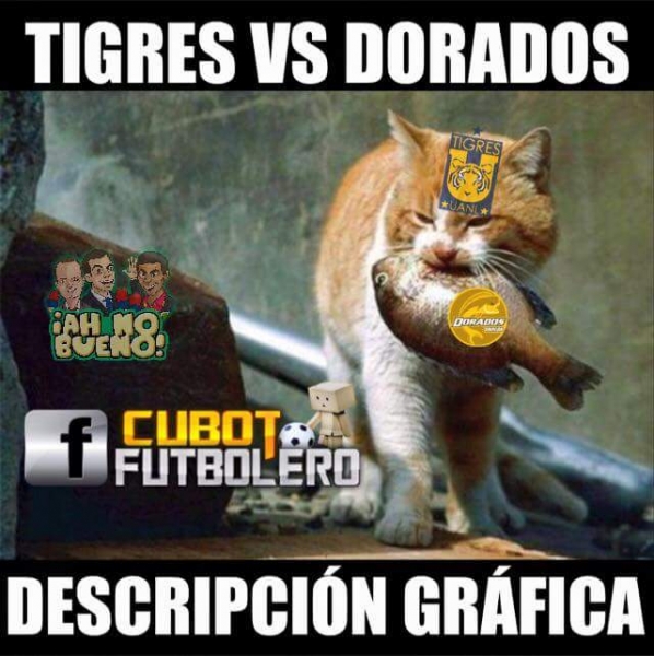 El gatito se comió el pez en memes