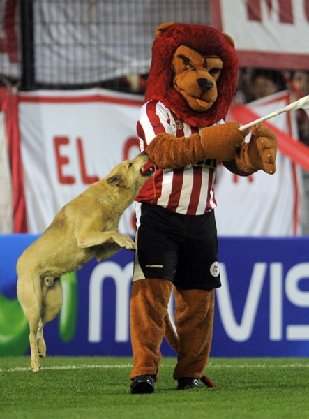 Estudiantes-LDUQ