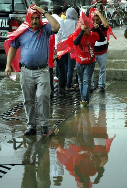 La lluvia no detuvo a la fiel afición de los Rayos.