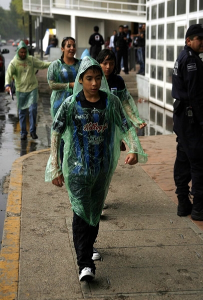 Los aficionados gallos deben cubrir sus plumas.