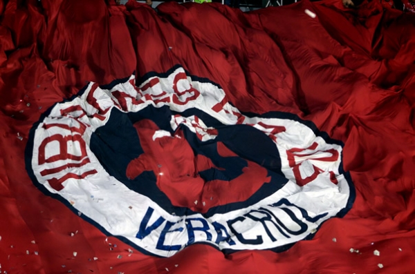 Los escualos y sus colores brillan más que nunca.