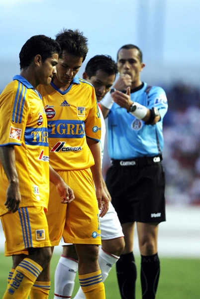 Los felinos lucharon en todo momento