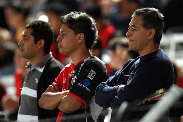 Los zorros no levantan