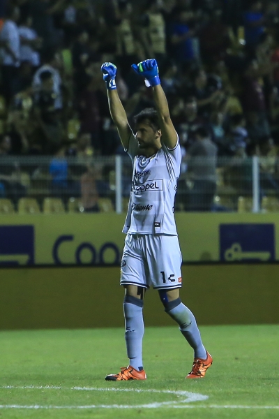 Michel celebrarba el gol de Arreola que daba el triunfo.