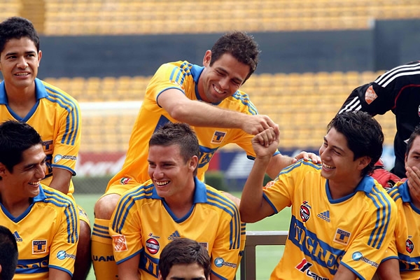 Tigres2