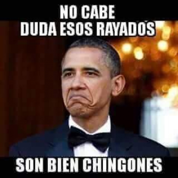 Tigres, el llorón del norte en memes