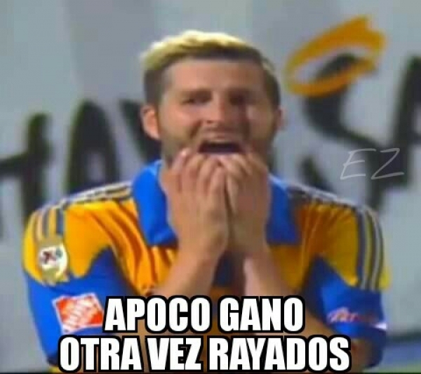 Tigres, el llorón del norte en memes