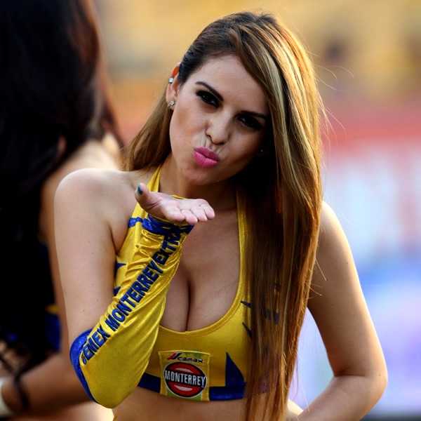 Tigres quiere recuperar el rumbo luego de perder en la Copa ante Monterrey.