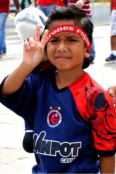 Un pequeño Tiburón saluda.