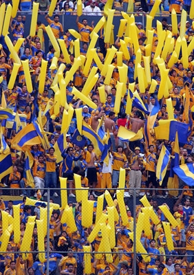 Afición de Tigres animada