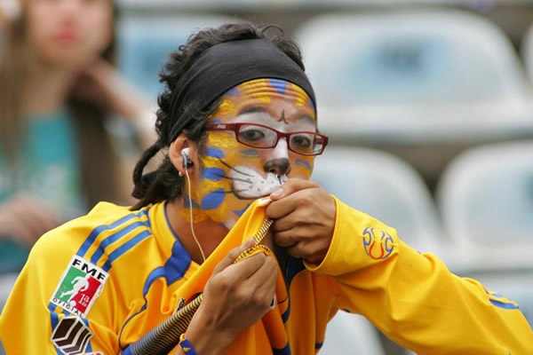 Aficionado pintado de Tigre.