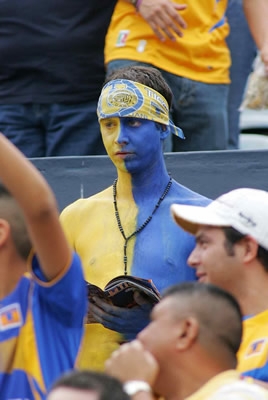 Aficionado Tigres pintado.