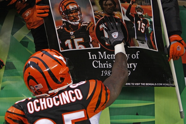 Bengals