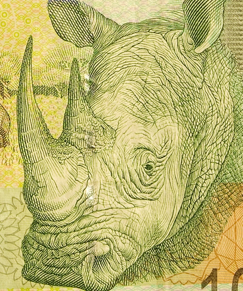billetes3