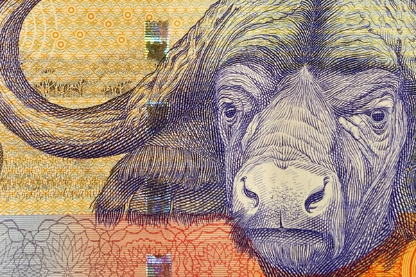billetes9