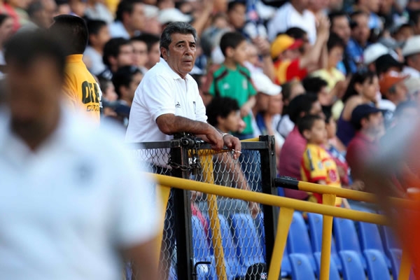 Carlos Reinoso, D.T. de Gallos