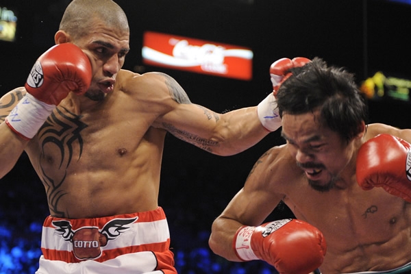 Cotto