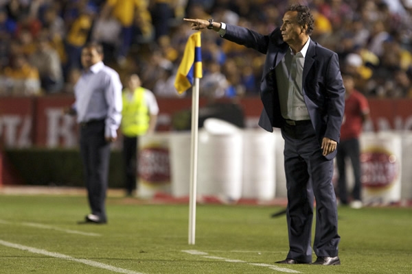 Dando indicaciones al Rebaño