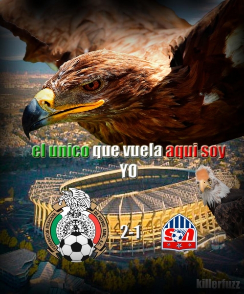 Desplegados mexicanos