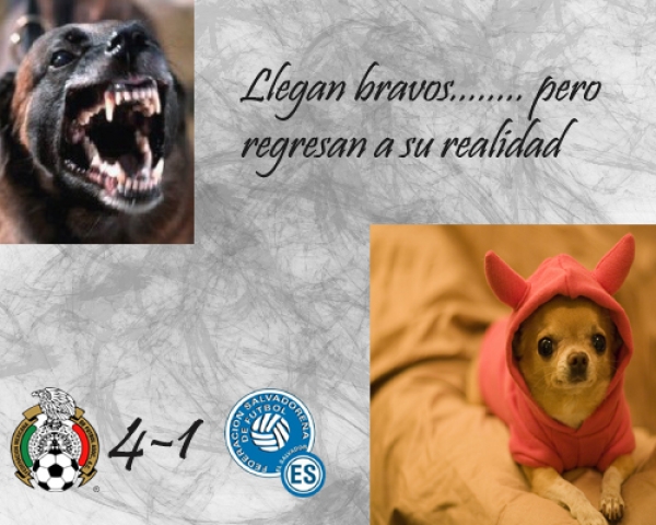 Desplegados mexicanos