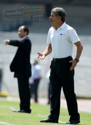 El entrenador felino reparte gritos a sus jugadores.