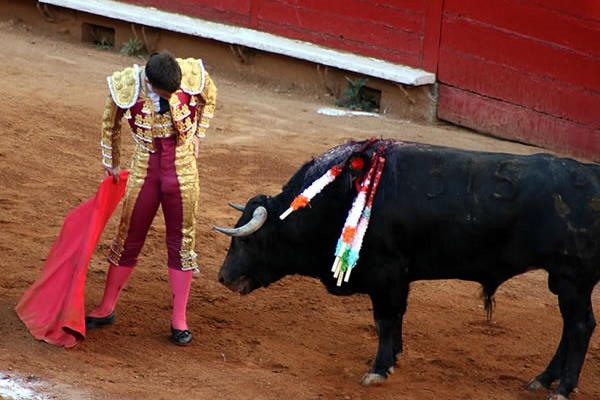 El Juli