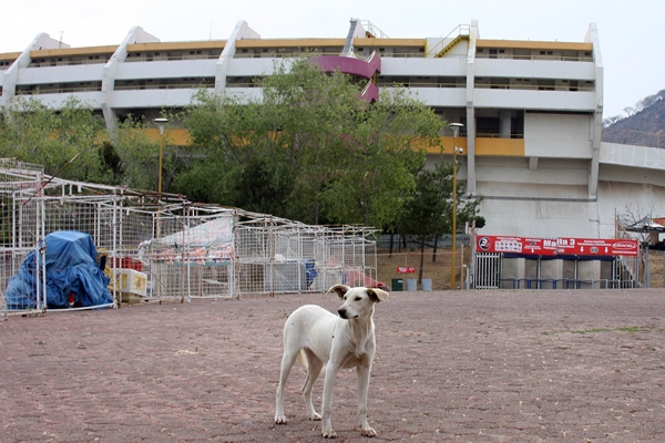 Estadio Morelos