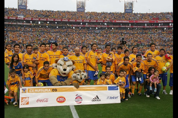 Foto Tigres