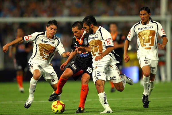 Giménez entre tres felinos.