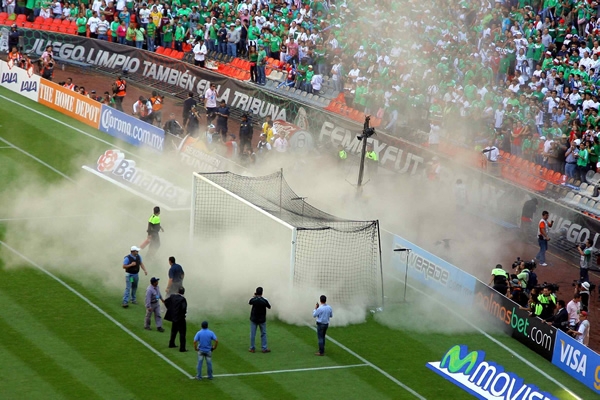 Hubo abejas futboleras