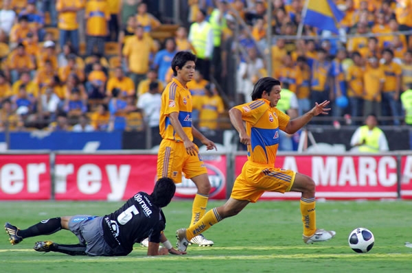 Kikín en pleno ataque felino