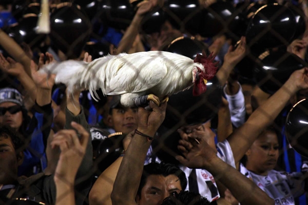 La máscota presente en el estadio